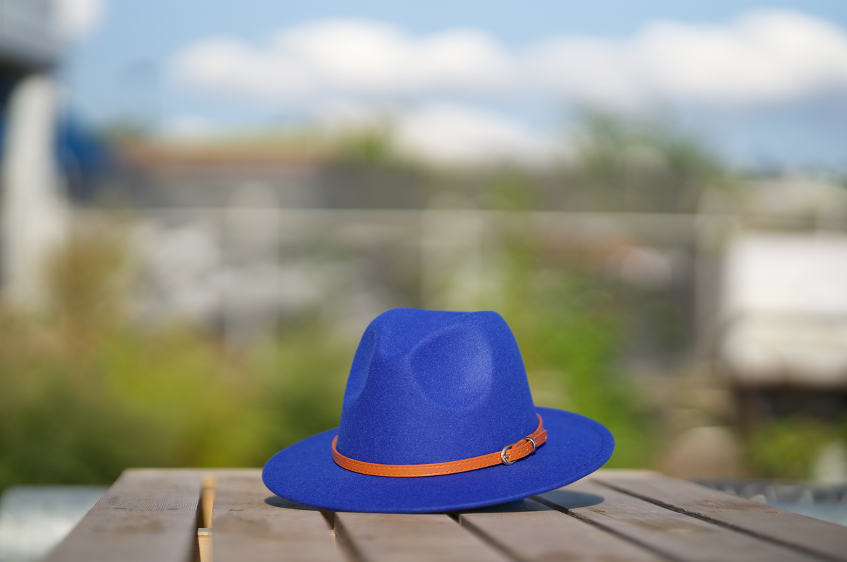 royalblue.png?v=1691624941&  display picture 1